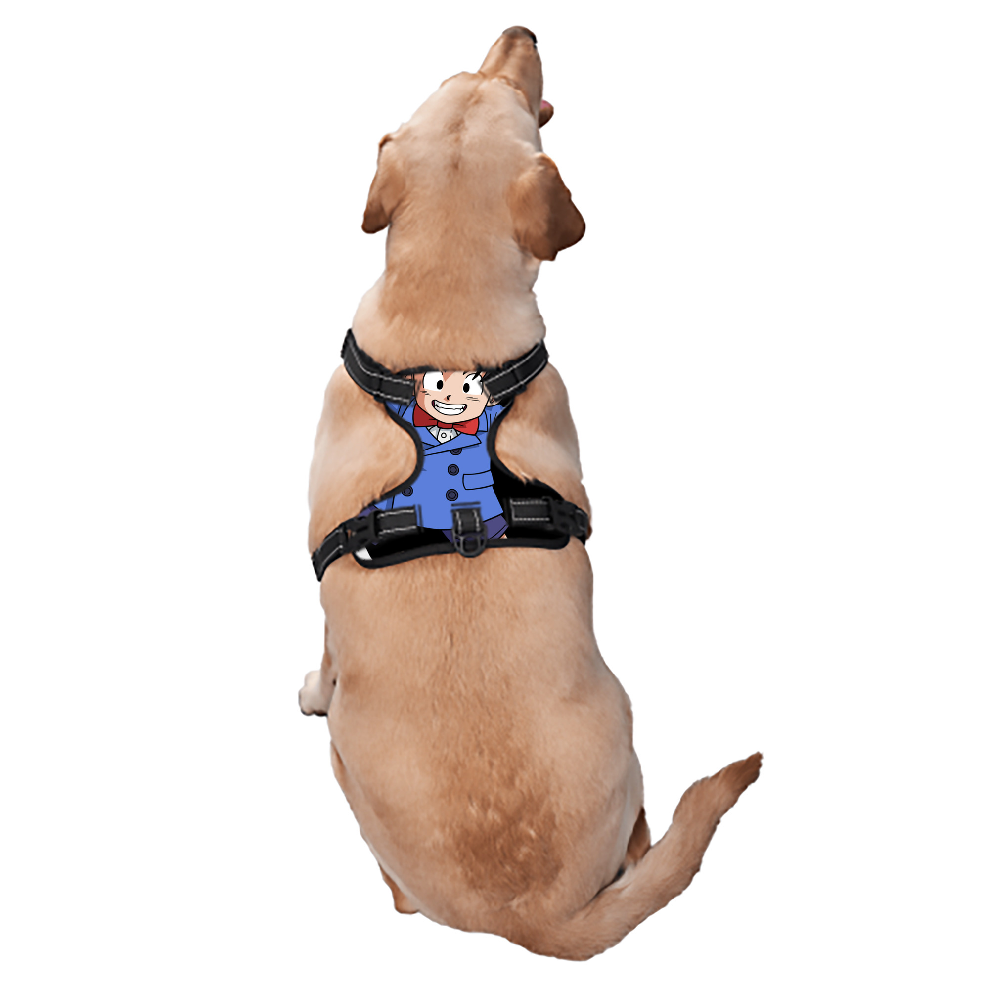 （画像用） ドラゴンボール 孫悟空（そん ごくう）Son Goku カカロット DRAGON BALL Kakarotto ペット用ハーネス